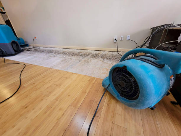 Professional Flood Damage Cleanup technician working in Ashland, OR